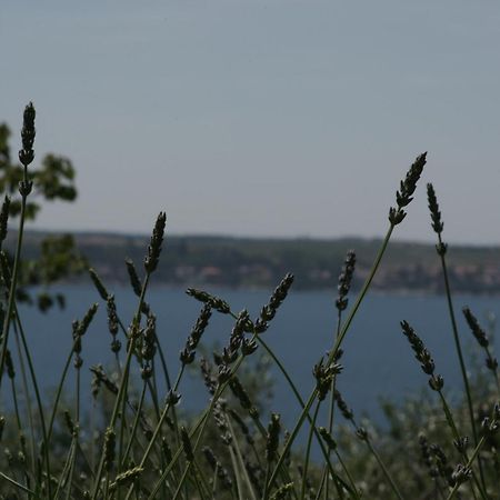 Apartments Hafner Portoroz Exterior photo